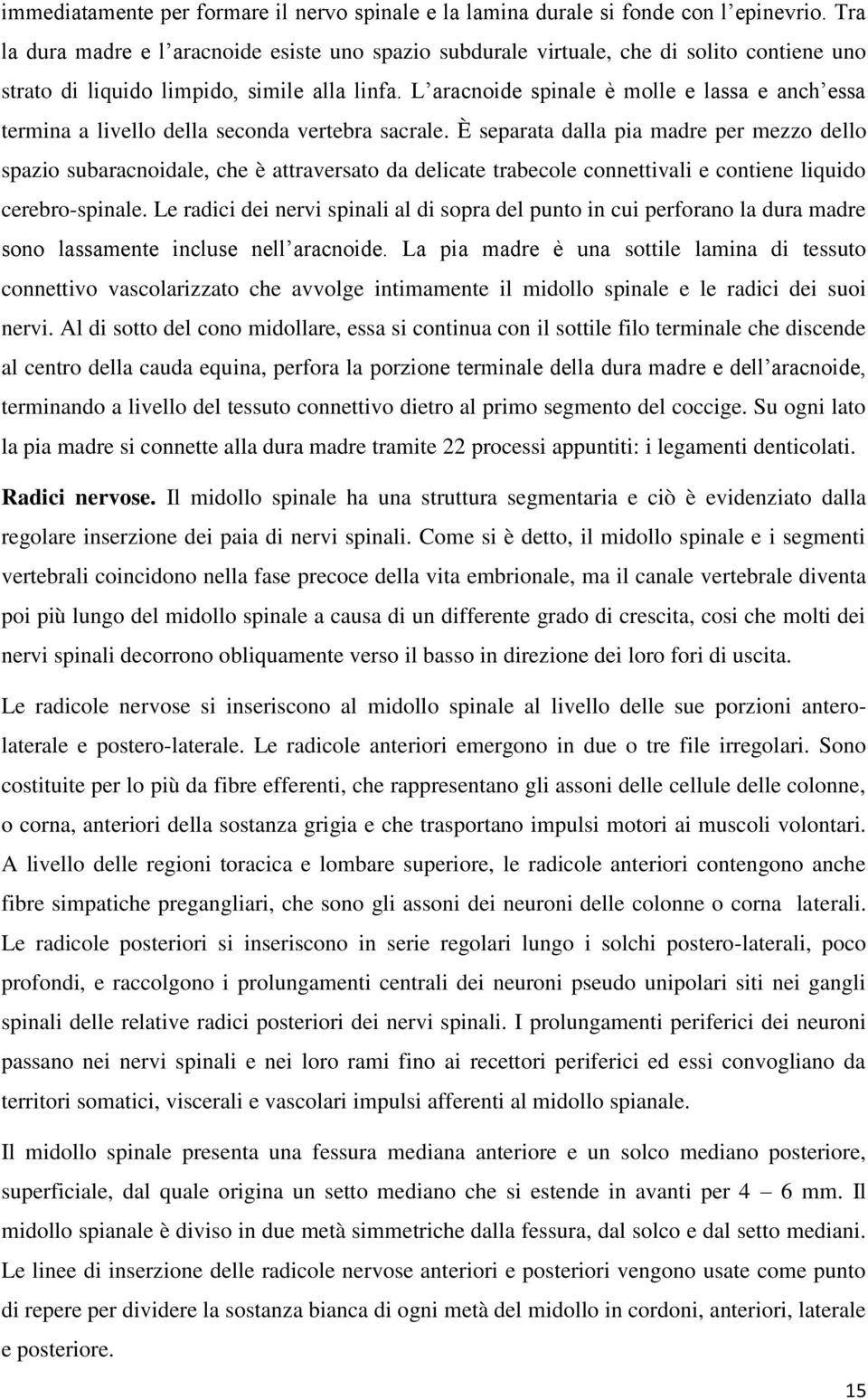 L aracnoide spinale è molle e lassa e anch essa termina a livello della seconda vertebra sacrale.