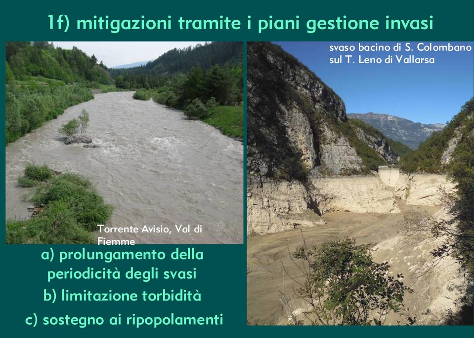 Leno di Vallarsa Torrente Avisio, Val di Fiemme a)