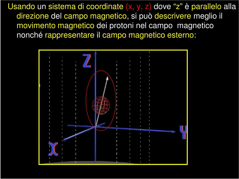 descrivere meglio il movimento magnetico dei protoni nel