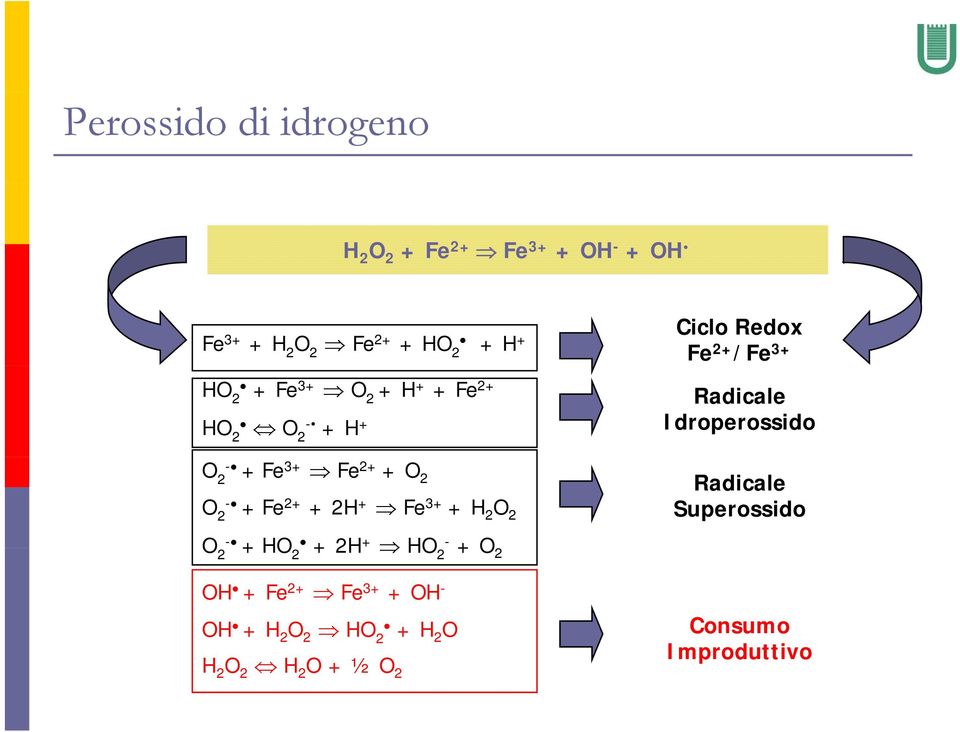 3+ Fe 2+ + O 2 O 2 - +Fe 2+ + 2H + Fe 3+ + H 2 O 2 Radicale Superossido O - +2H + - 2 + HO 2 HO 2