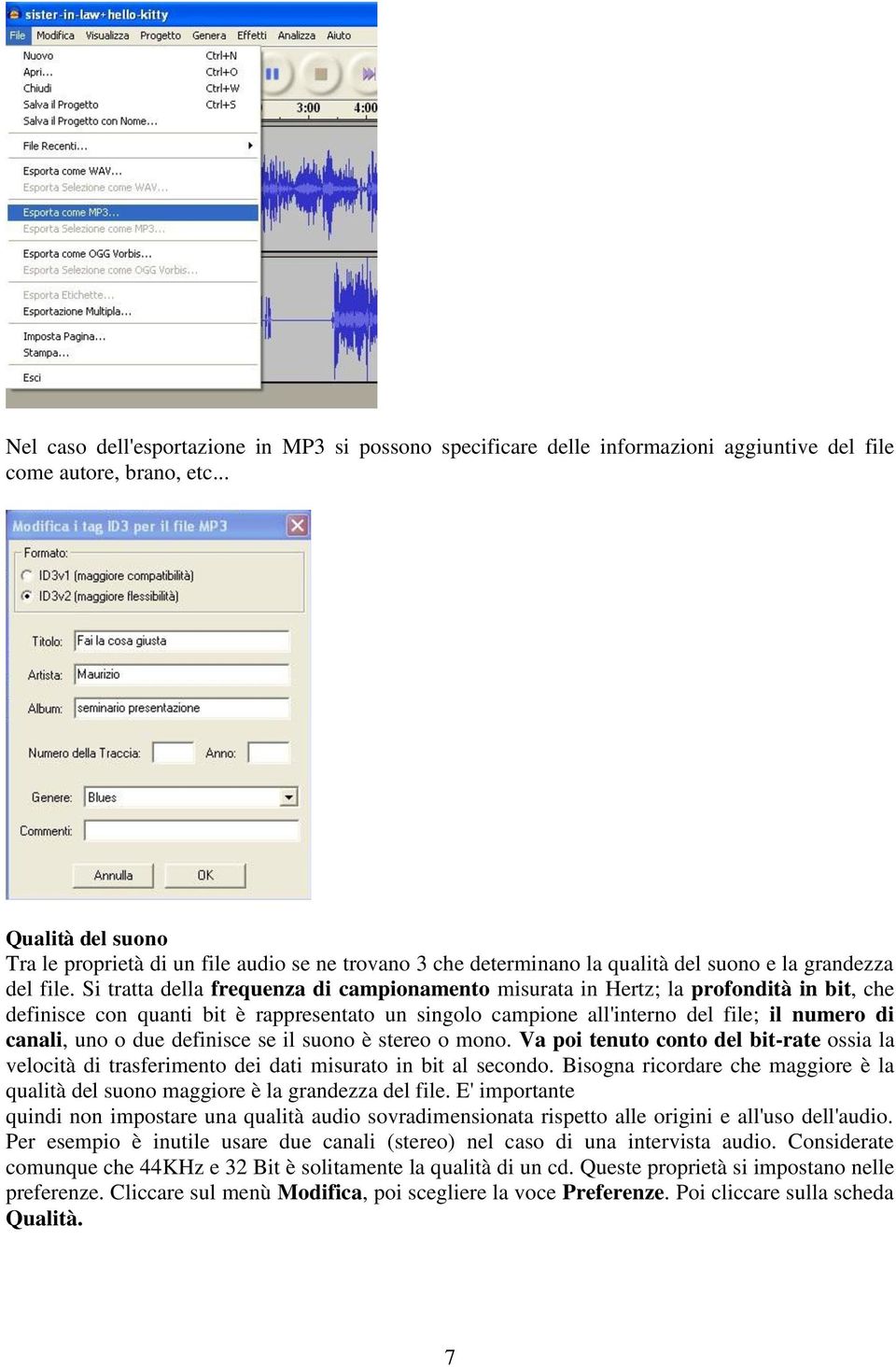 Si tratta della frequenza di campionamento misurata in Hertz; la profondità in bit, che definisce con quanti bit è rappresentato un singolo campione all'interno del file; il numero di canali, uno o