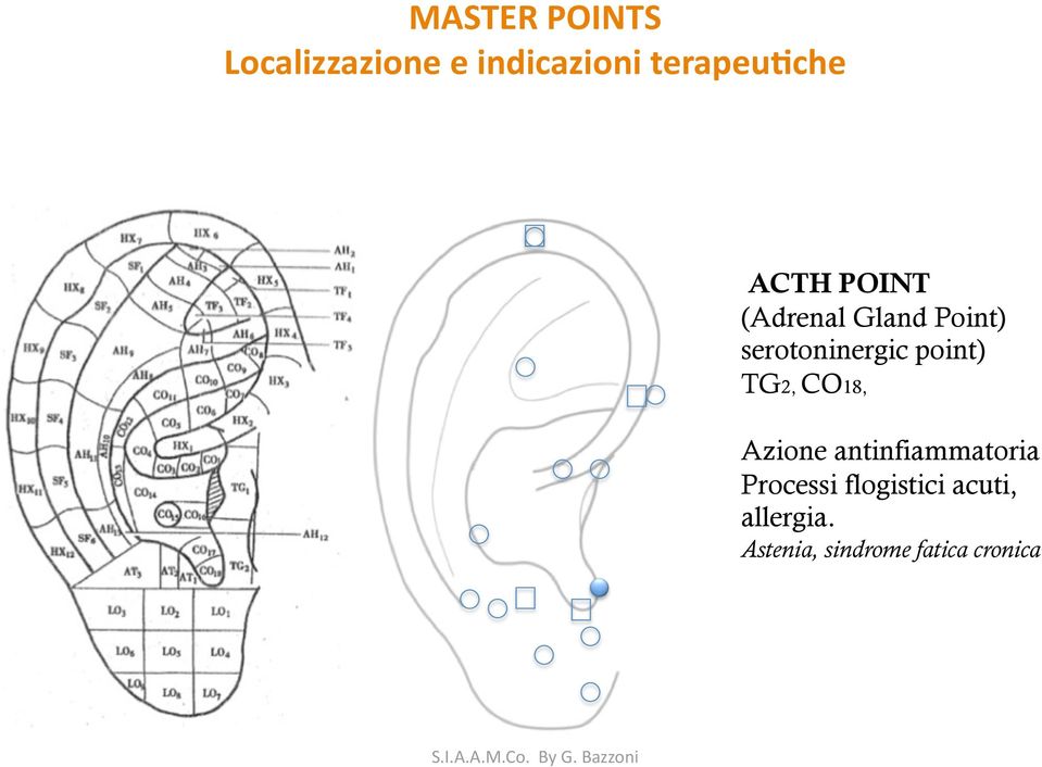 antinfiammatoria Processi flogistici