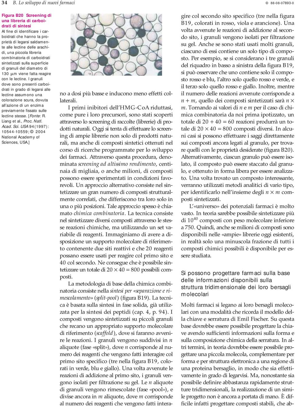 I granuli dove sono presenti carboidrati in grado di legarsi alle lectine assumono una colorazione scura, dovuta all azione di un enzima previamente fissato sulle lectine stesse. [Fonte: R.