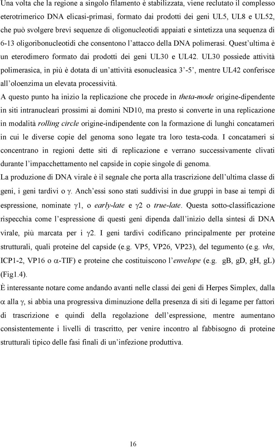 Quest ultima è un eterodimero formato dai prodotti dei geni UL30 e UL42.