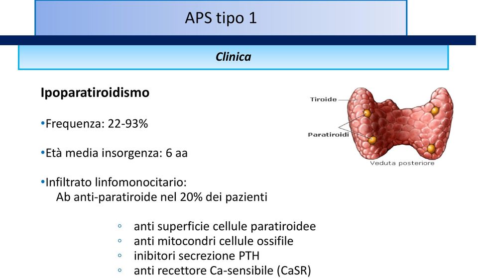 20% dei pazienti anti superficie cellule paratiroidee anti mitocondri