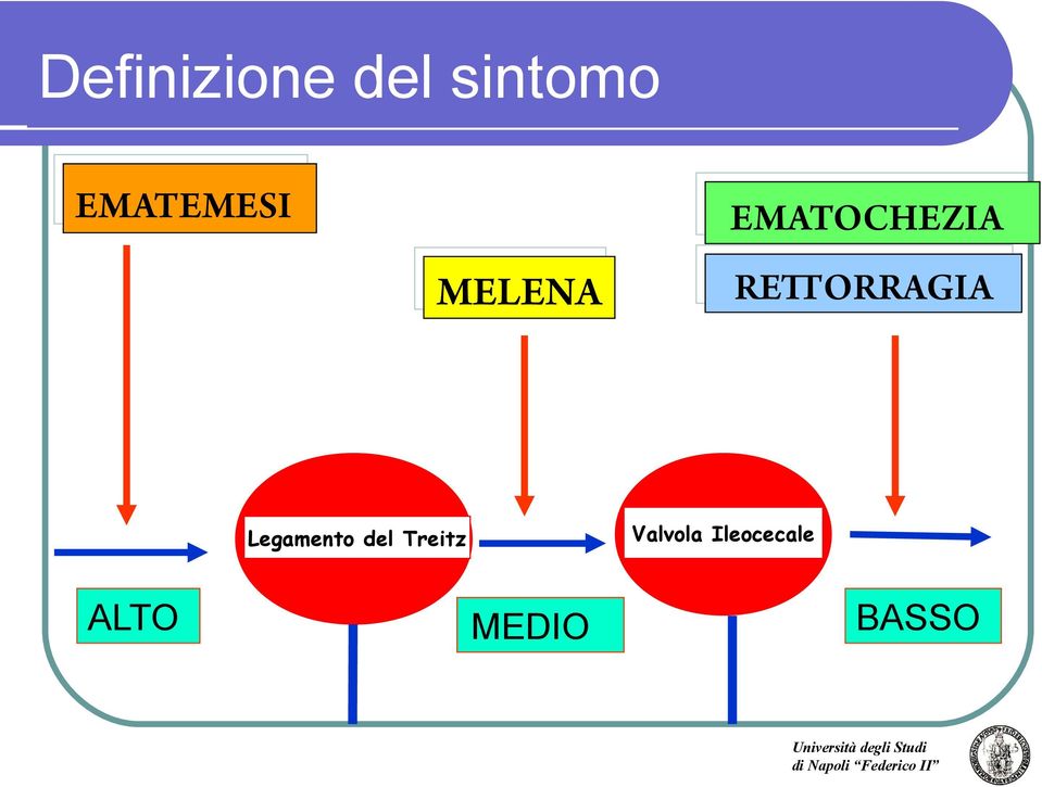 Valvola Ileocecale Legamento