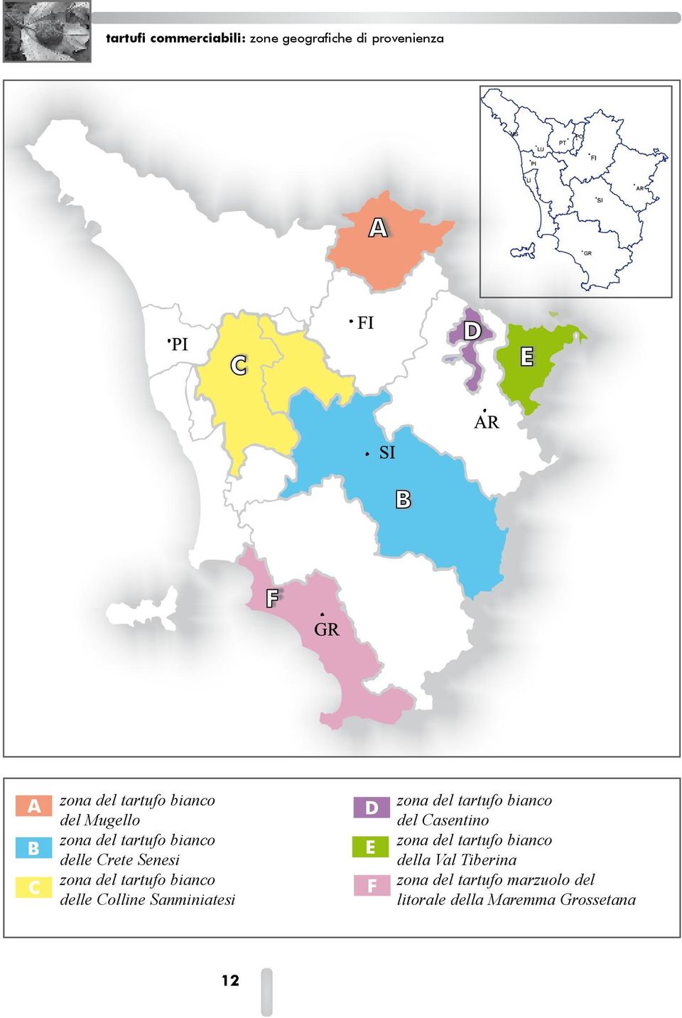 Zona di produzione del tartufo toscano bianco delle Colline Sanminiatesi (Provincia di PISA): Bientina; Calcinaia; Capannoli; Casciana Terme; Castelfranco di Sotto; Chianni; Crespina; Laiatico; Lari;