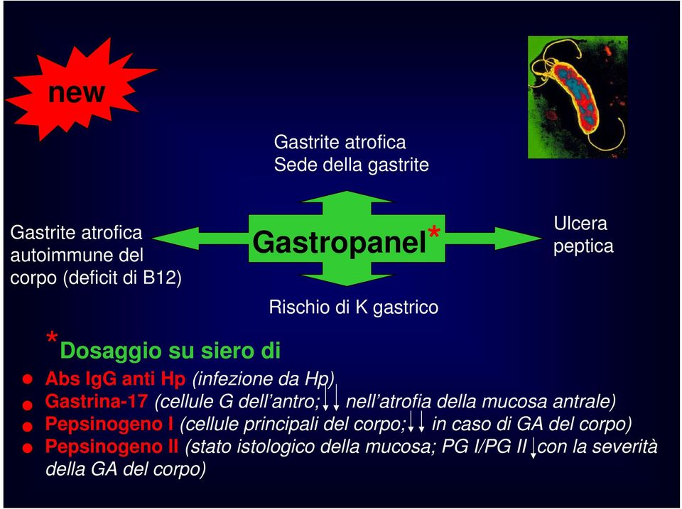 Gastrina-17 (cellule G dell antro; nell atrofia della mucosa antrale) Pepsinogeno I (cellule principali del