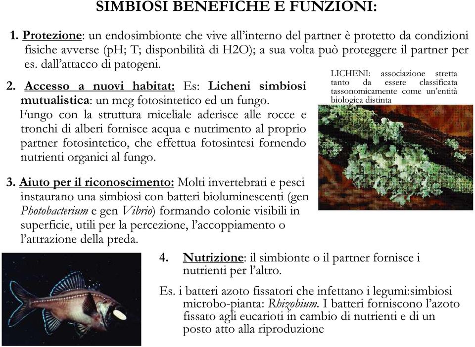 dall attacco di patogeni. 2. Accesso a nuovi habitat: Es: Licheni simbiosi mutualistica: un mcg fotosintetico ed un fungo.