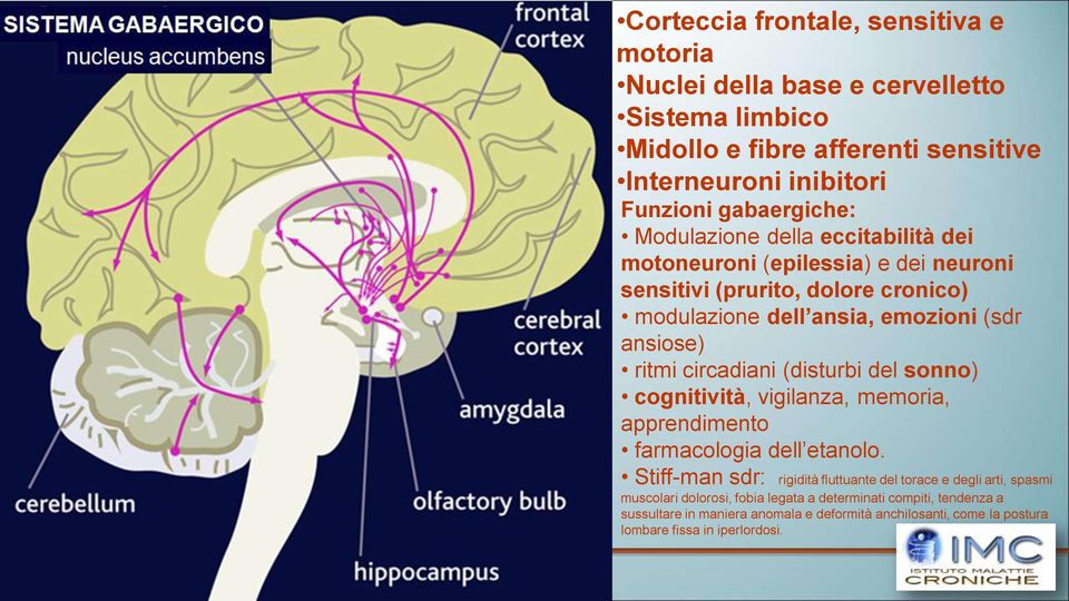 ansiose) ritmi circadiani (disturbi del sonno) cognitività, vigilanza, memoria, apprendimento farmacologia dell etanolo.