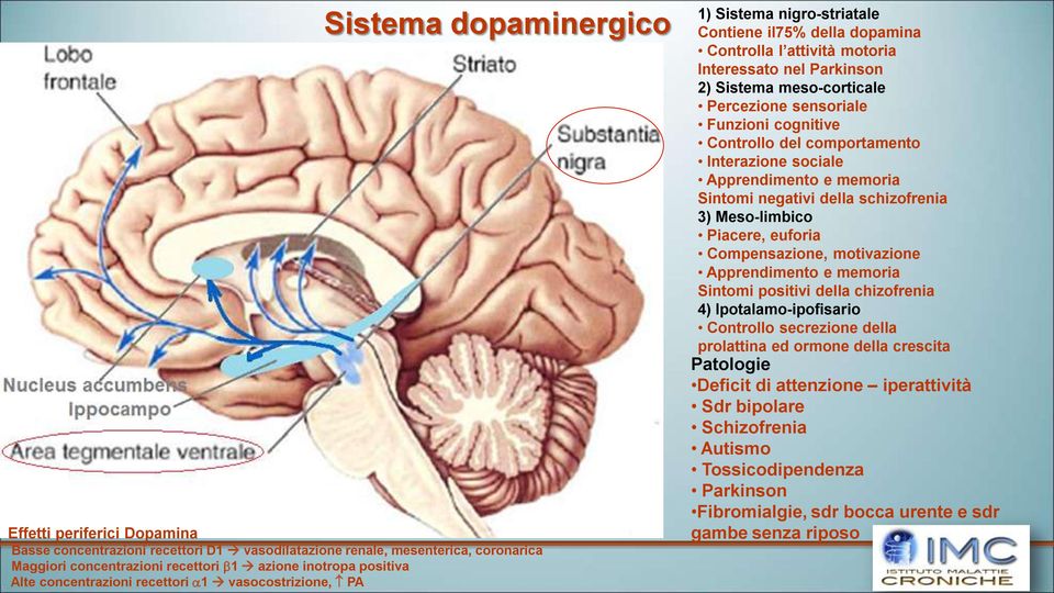 sensoriale Funzioni cognitive Controllo del comportamento Interazione sociale Apprendimento e memoria Sintomi negativi della schizofrenia 3) Meso-limbico Piacere, euforia Compensazione, motivazione