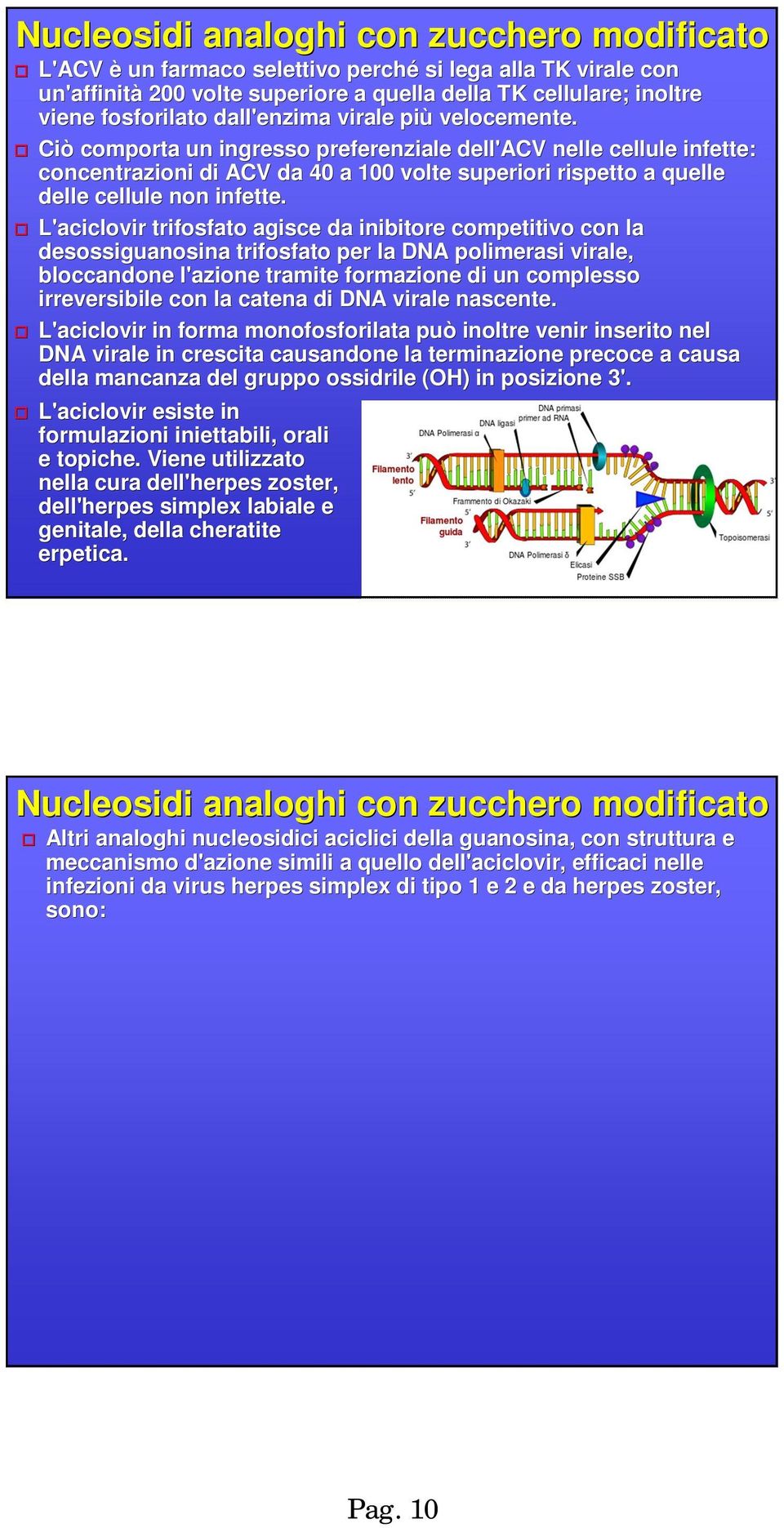 Ciò comporta un ingresso preferenziale dell'acv nelle cellule infette: concentrazioni di ACV da 40 a 100 volte superiori rispetto a quelle delle cellule non infette.