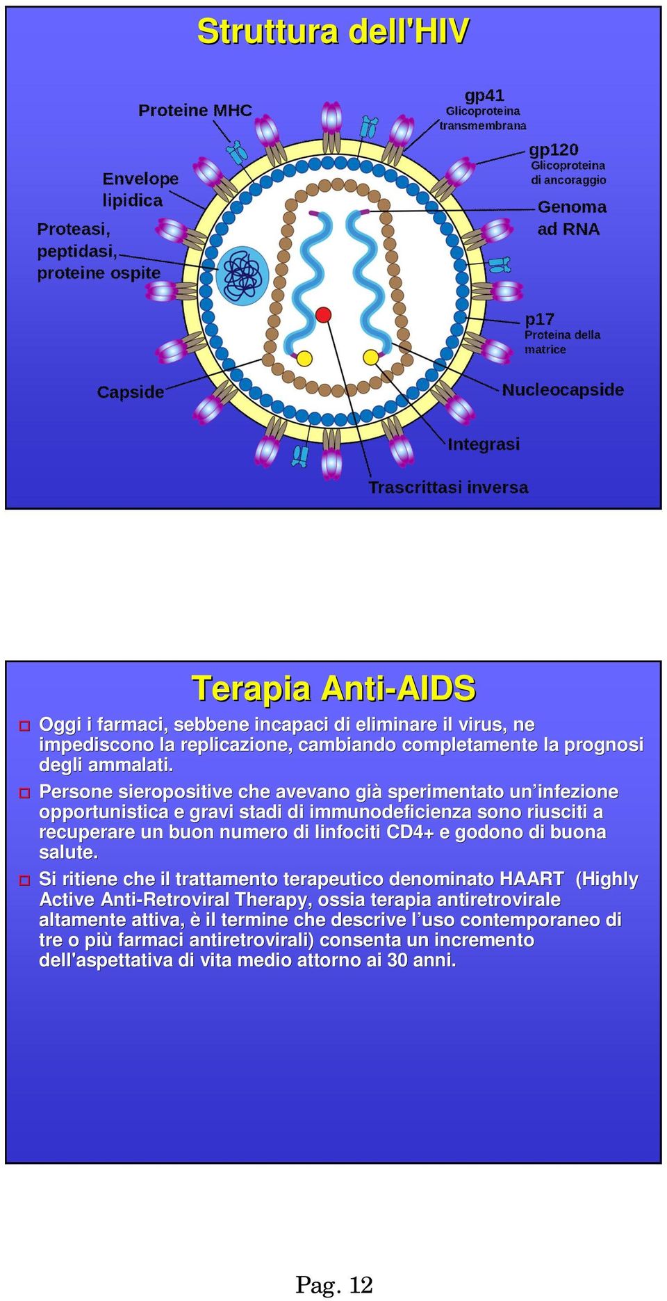 Persone sieropositive che avevano già sperimentato un infezione opportunistica e gravi stadi di immunodeficienza sono riusciti a recuperare un buon numero di linfociti CD4+ e