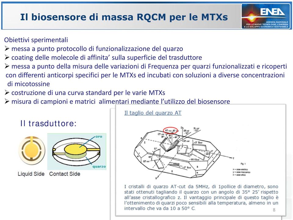 funzionalizzati e ricoperti con differenti anticorpi specifici per le MTXs ed incubati con soluzioni a diverse concentrazioni di