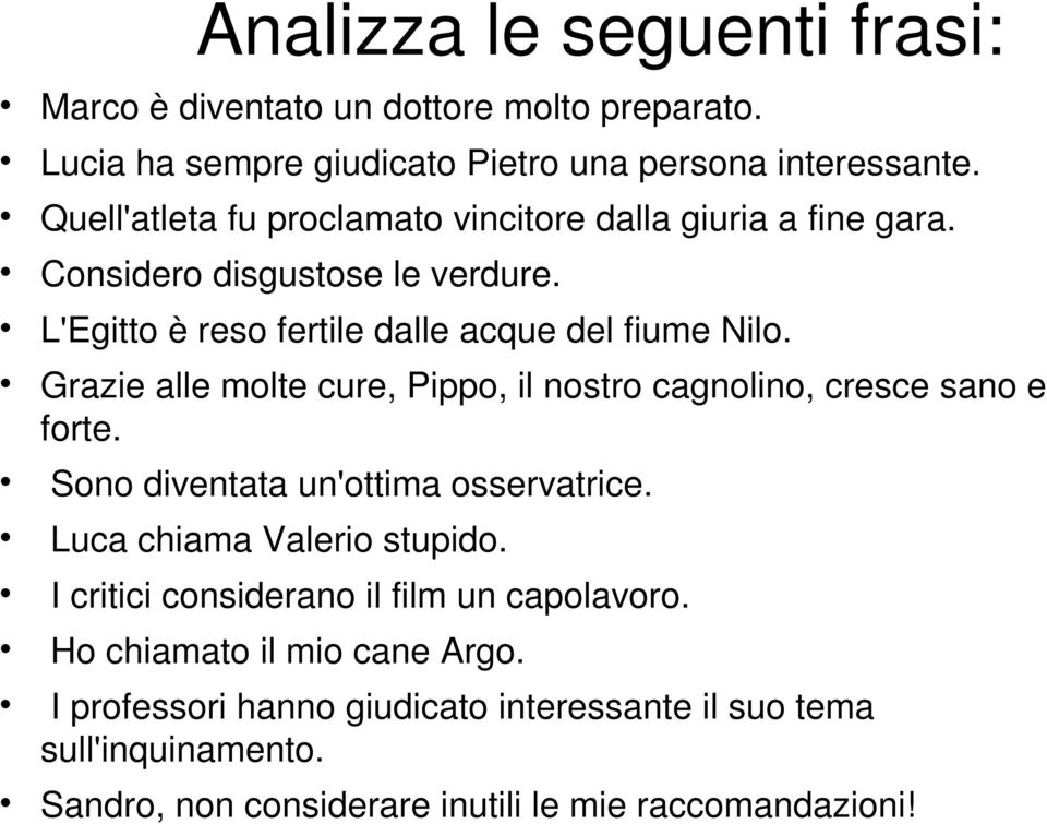 Grazie alle molte cure, Pippo, il nostro cagnolino, cresce sano e forte. Sono diventata un'ottima osservatrice. Luca chiama Valerio stupido.