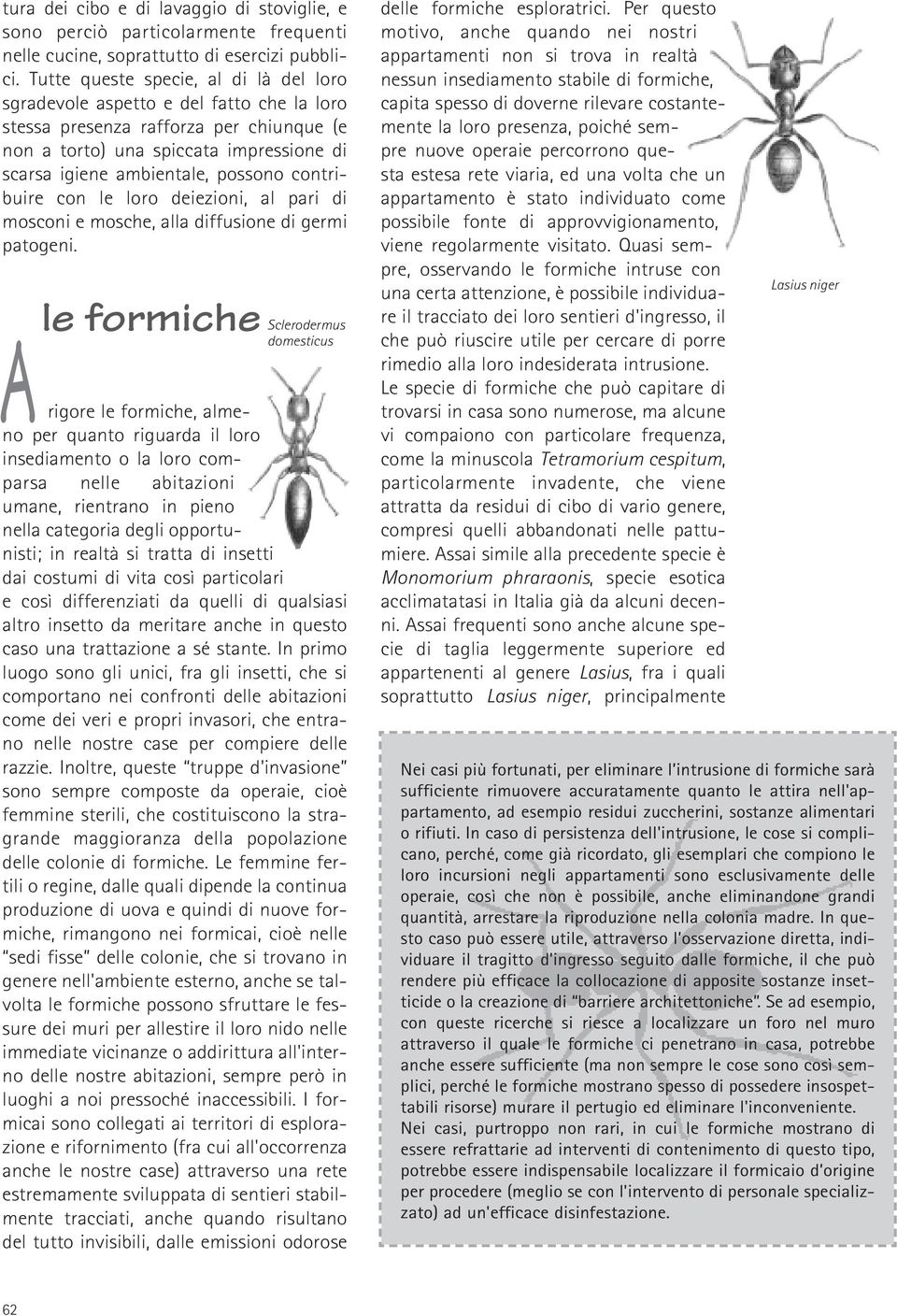 contribuire con le loro deiezioni, al pari di mosconi e mosche, alla diffusione di germi patogeni.