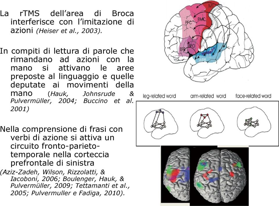 della mano (Hauk, Johnsrude & Pulvermüller, 2004; Buccino et al.