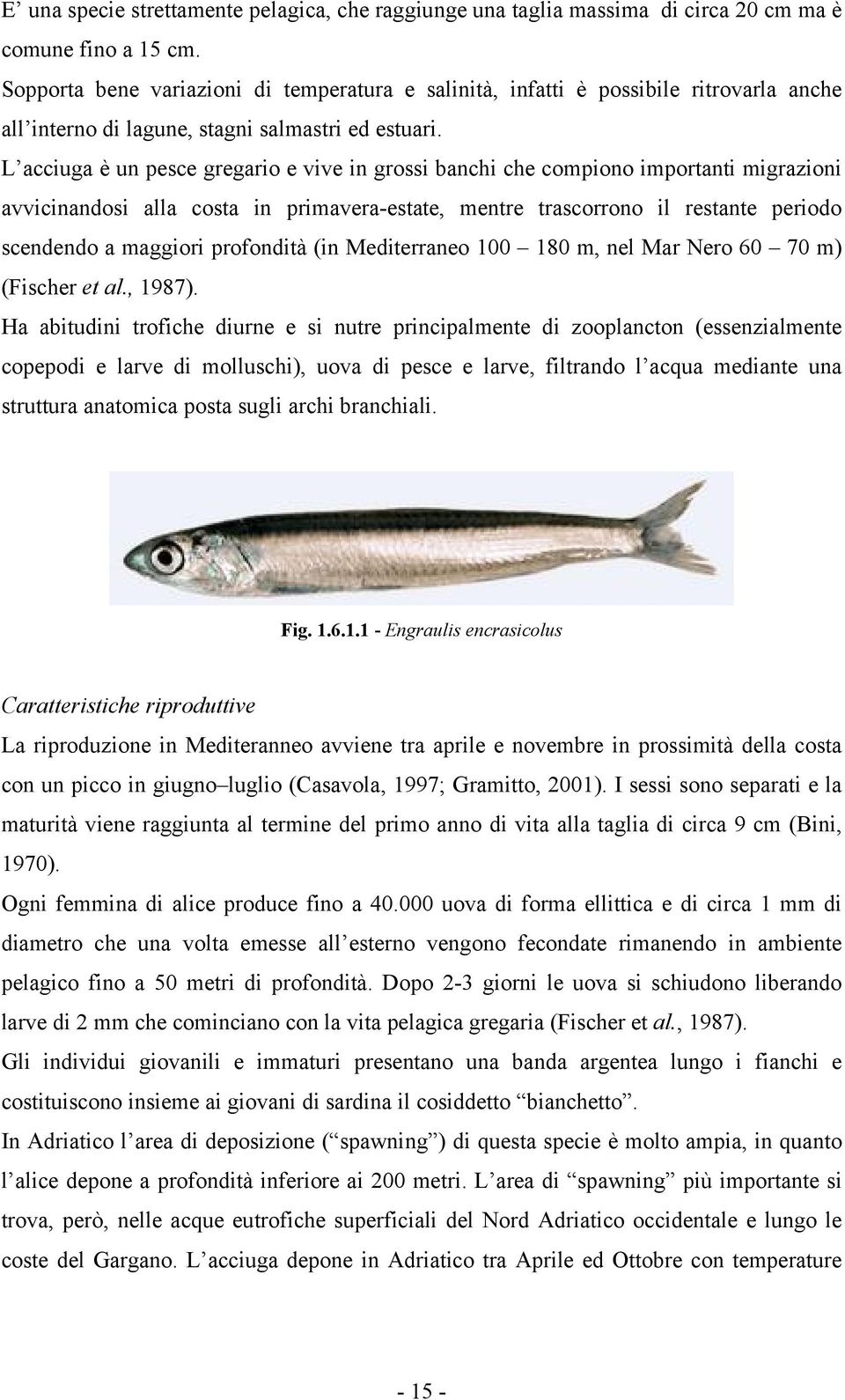 L acciuga è un pesce gregario e vive in grossi banchi che compiono importanti migrazioni avvicinandosi alla costa in primavera-estate, mentre trascorrono il restante periodo scendendo a maggiori