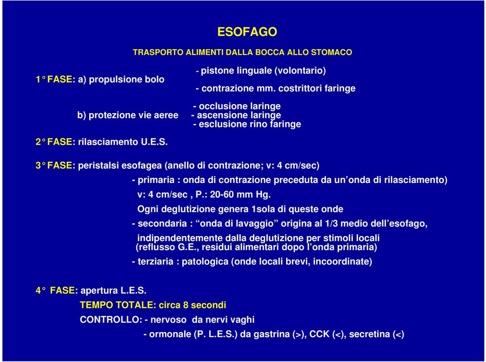 : rilasciamento U.E.S. 3 FASE: peristalsi esofagea (anello di contrazione; v: 4 cm/sec) - primaria : onda di contrazione preceduta da un onda di rilasciamento) v: 4 cm/sec, P.: 20-60 mm Hg.