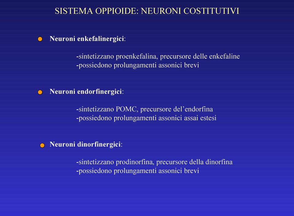 -sintetizzano POMC, precursore del endorfina -possiedono prolungamenti assonici assai estesi