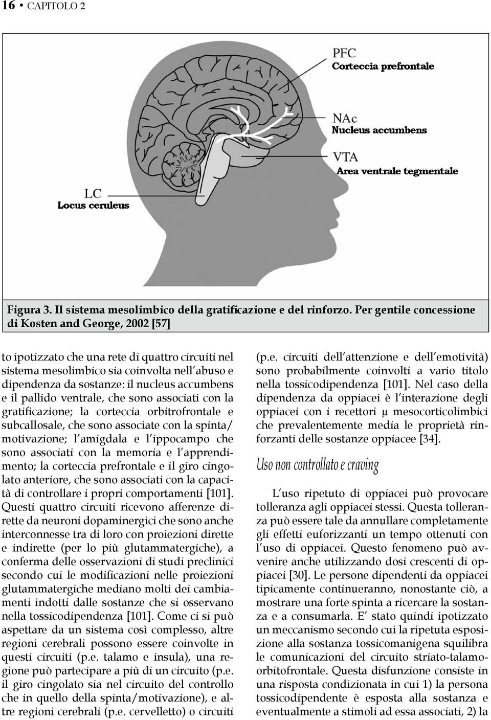 e il pallido ventrale, che sono associati con la gratificazione; la corteccia orbitrofrontale e subcallosale, che sono associate con la spinta/ motivazione; l amigdala e l ippocampo che sono