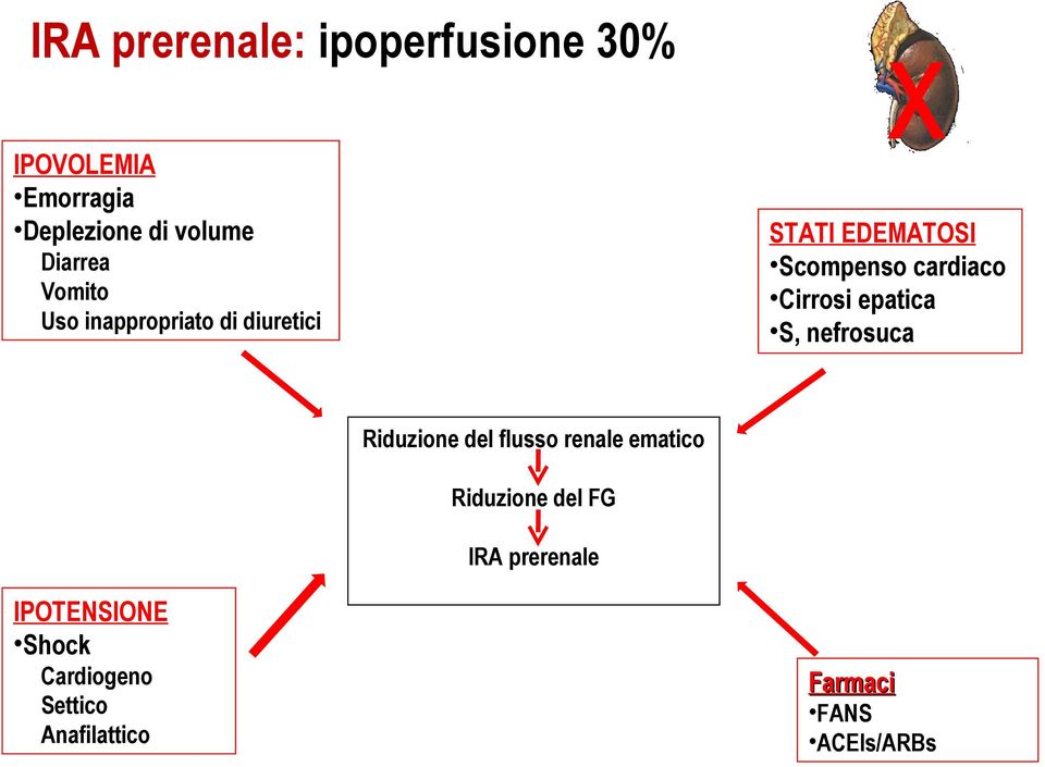 Uso inappropriato di diuretici Riduzione del flusso renale ematico Riduzione del