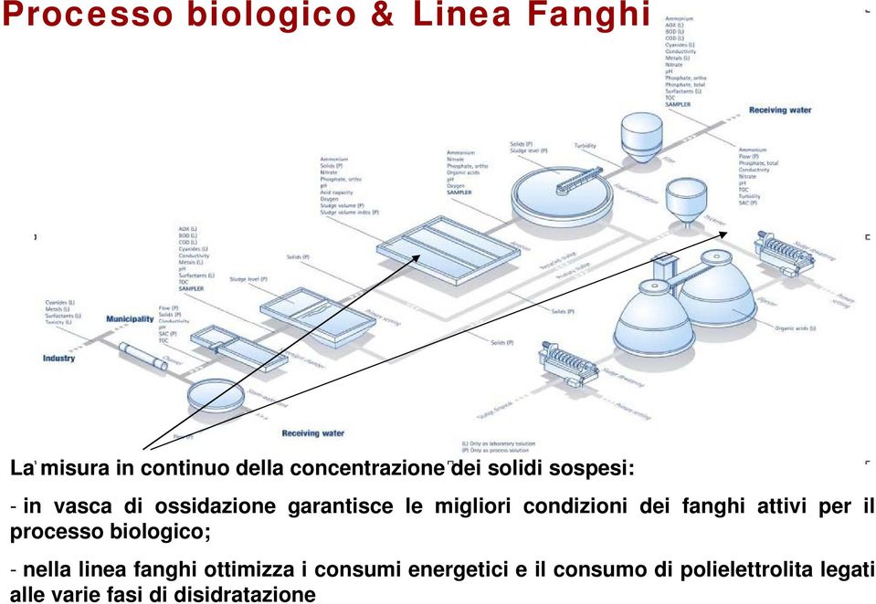 dei fanghi attivi i per il processo biologico; - nella linea fanghi ottimizza i