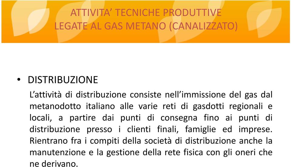 punti di consegna fino ai punti di distribuzione presso i clienti finali, famiglie ed imprese.