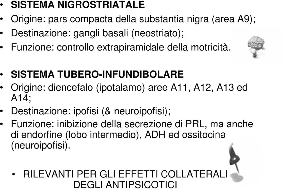 SISTEMA TUBERO-INFUNDIBOLARE Origine: diencefalo (ipotalamo) aree A11, A12, A13 ed A14; Destinazione: ipofisi (&