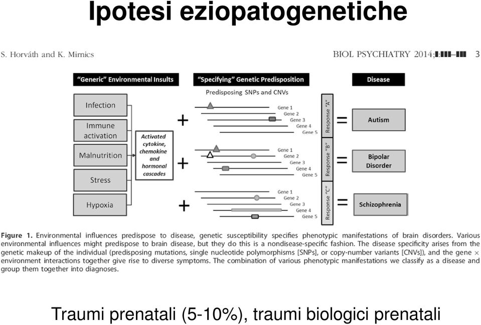 Traumi prenatali