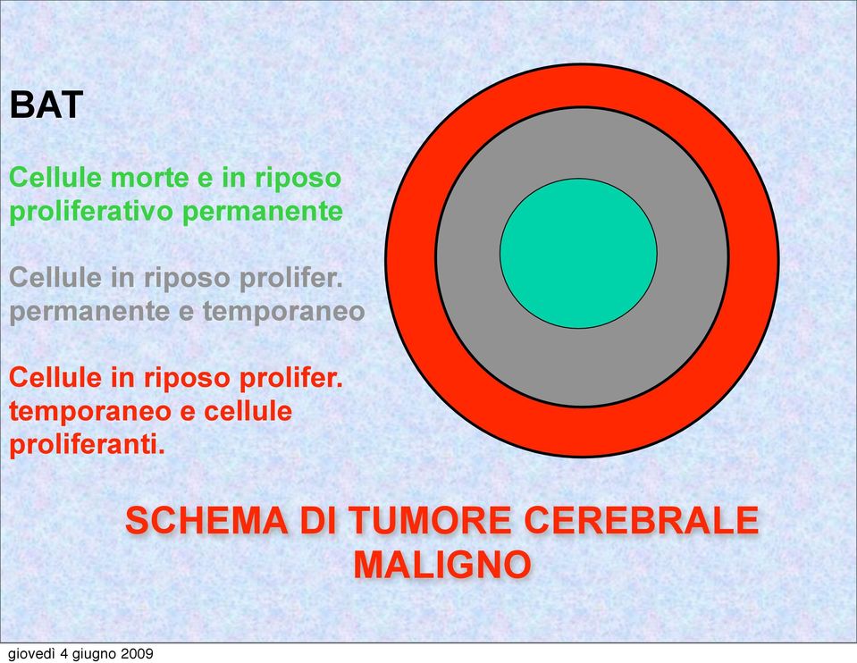 permanente e temporaneo Cellule in riposo prolifer.