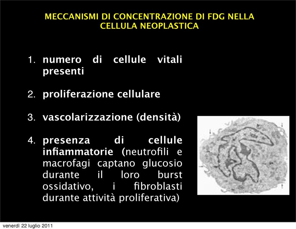 vascolarizzazione (densità) 4.