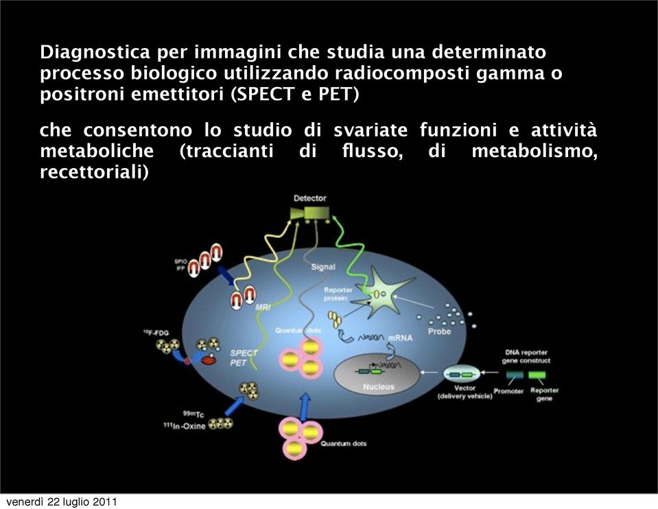 (SPECT e PET) che consentono lo studio di svariate funzioni e