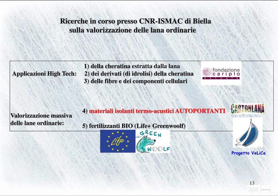 della cheratina 3) delle fibre e dei componenti cellulari Valorizzazione massiva delle lane