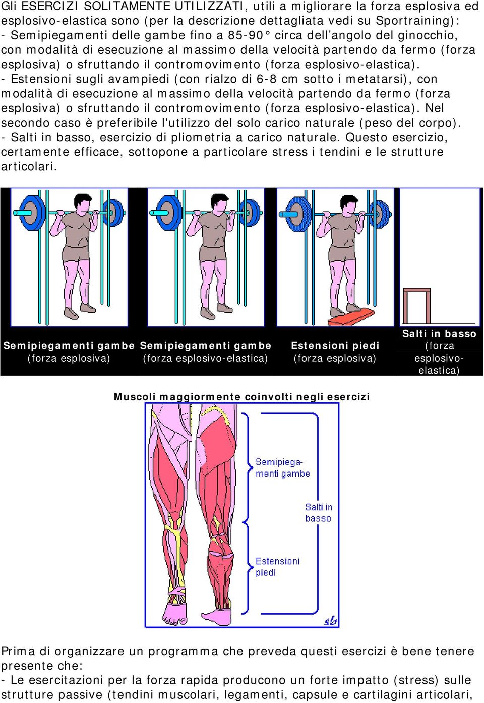 - Estensioni sugli avampiedi (con rialzo di 6-8 cm sotto i metatarsi), con modalità di al massimo della velocità partendo da fermo (forza esplosiva) o sfruttando il contromovimento (forza