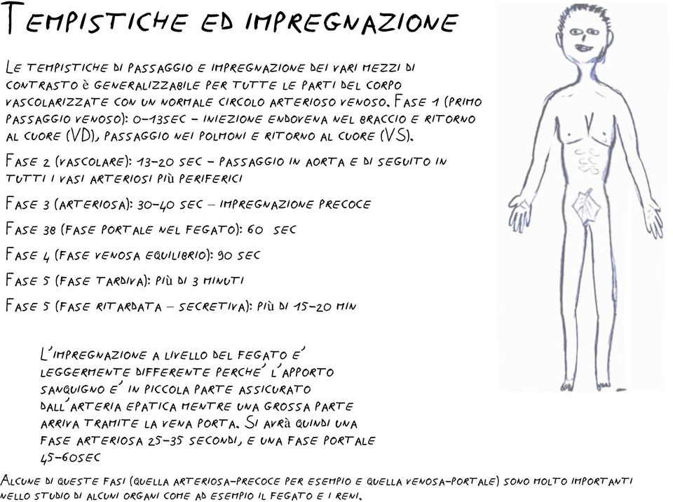 Fase 2 (vascolare): 13-20 sec - passaggio in aorta e di seguito in tutti i vasi arteriosi più periferici Fase 3 (arteriosa): 30-40 sec impregnazione precoce Fase 3b (fase portale nel fegato): 60 sec