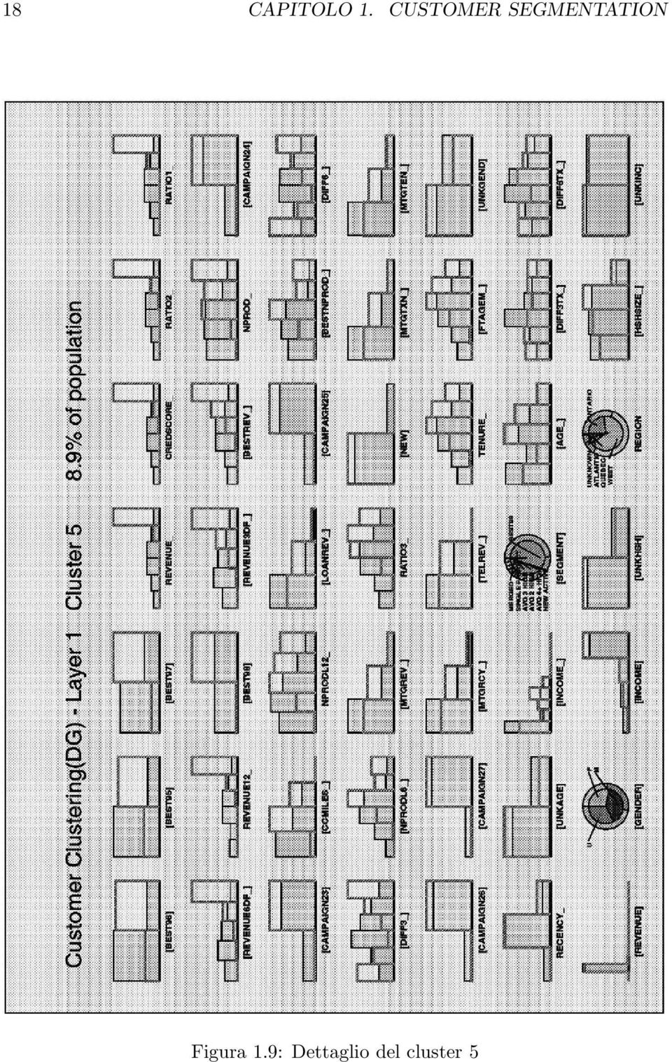 SEGMENTATION