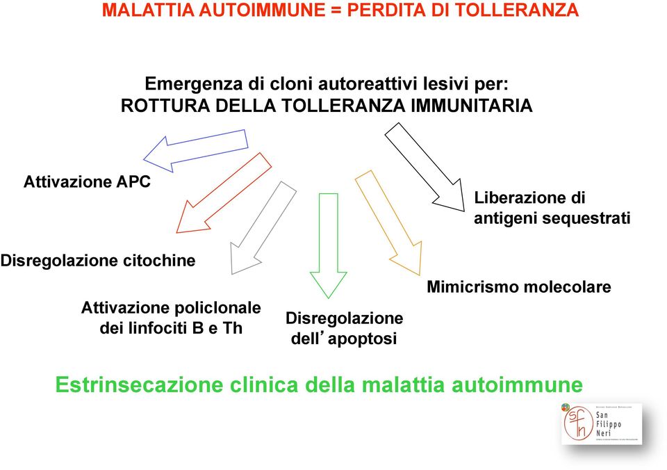 Attivazione policlonale dei linfociti B e Th Disregolazione dell apoptosi Liberazione