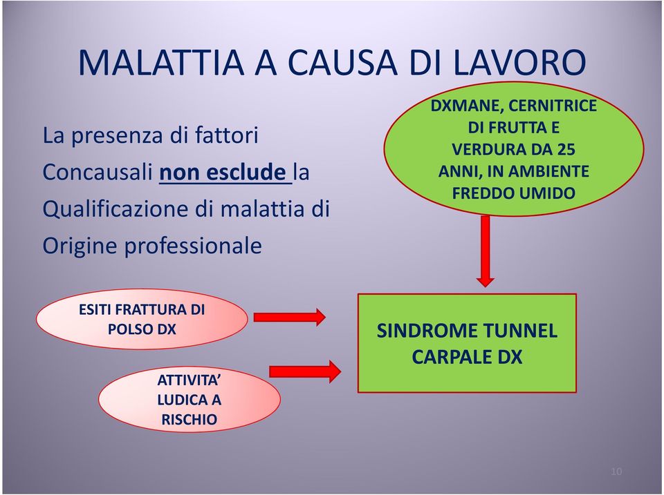 CERNITRICE DIFRUTTA E VERDURA DA 25 ANNI, IN AMBIENTE FREDDO UMIDO