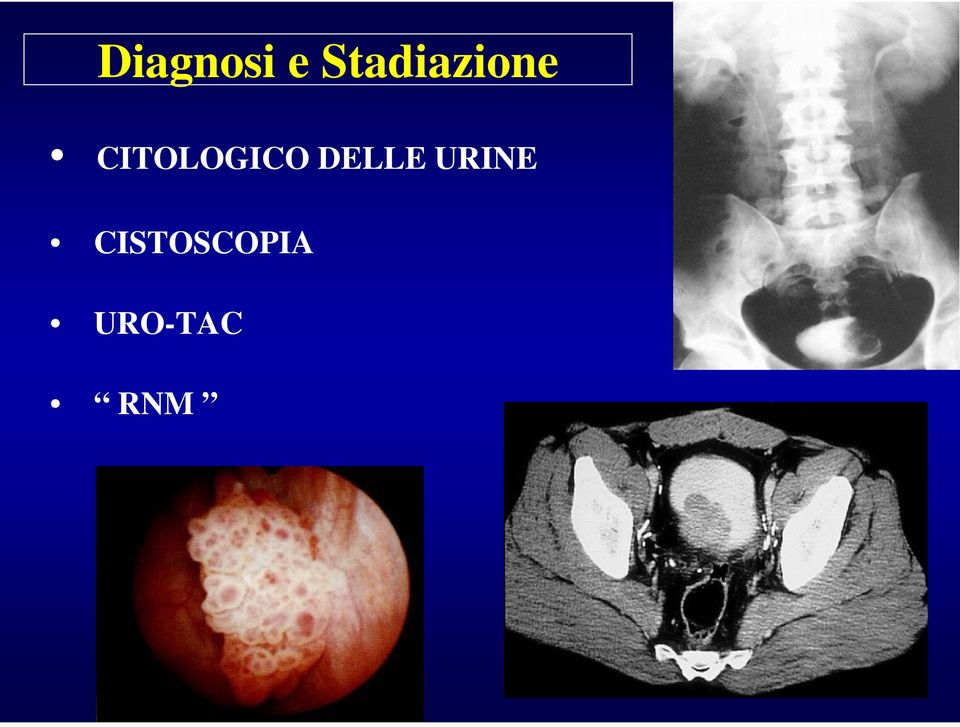 CITOLOGICO DELLE