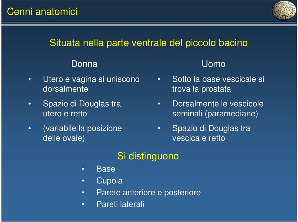 la base vescicale si trova la prostata Dorsalmente le vescicole seminali (paramediane) Spazio di