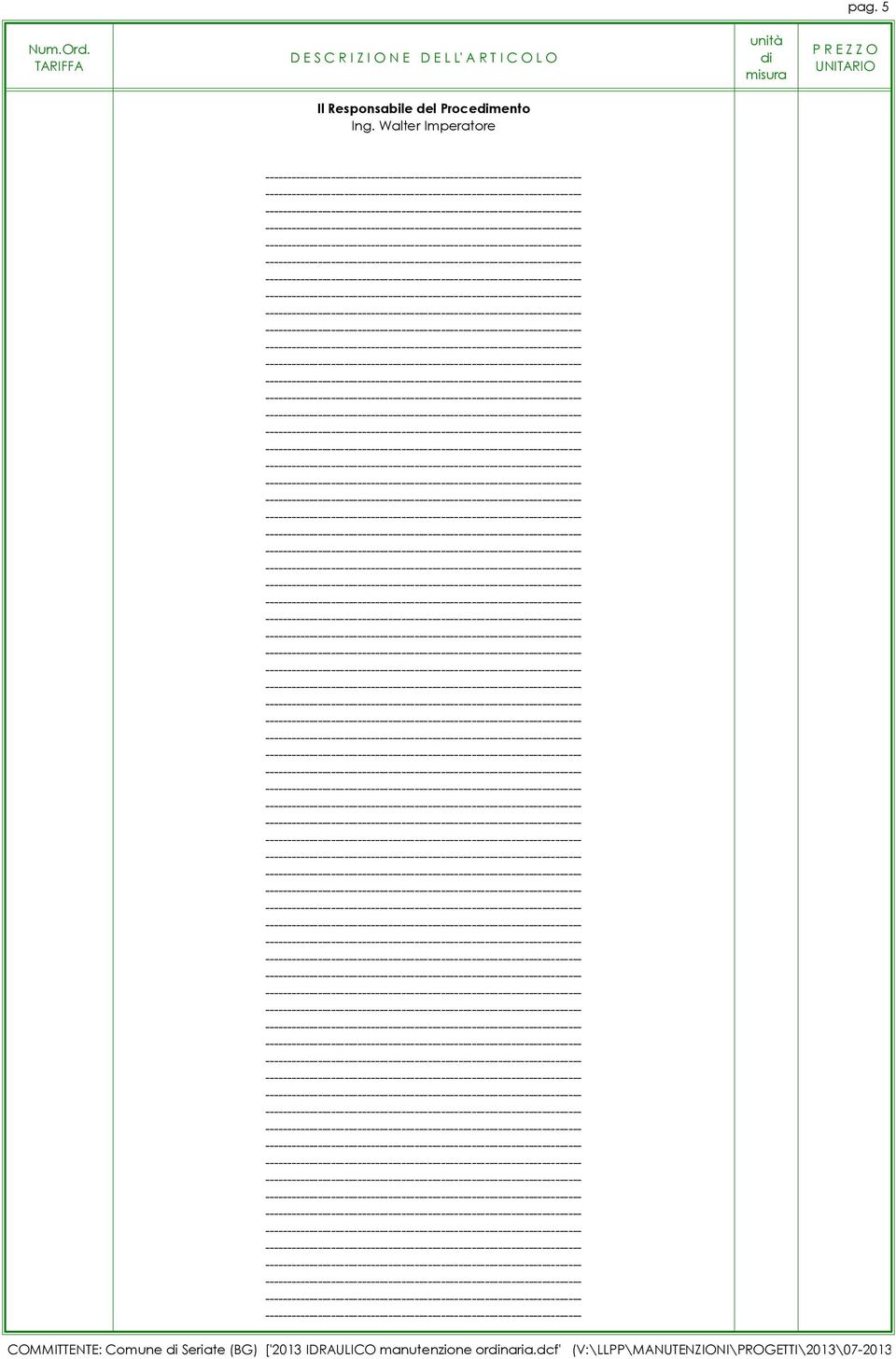 (BG) ['2013 IDRAULICO manutenzione ornaria.