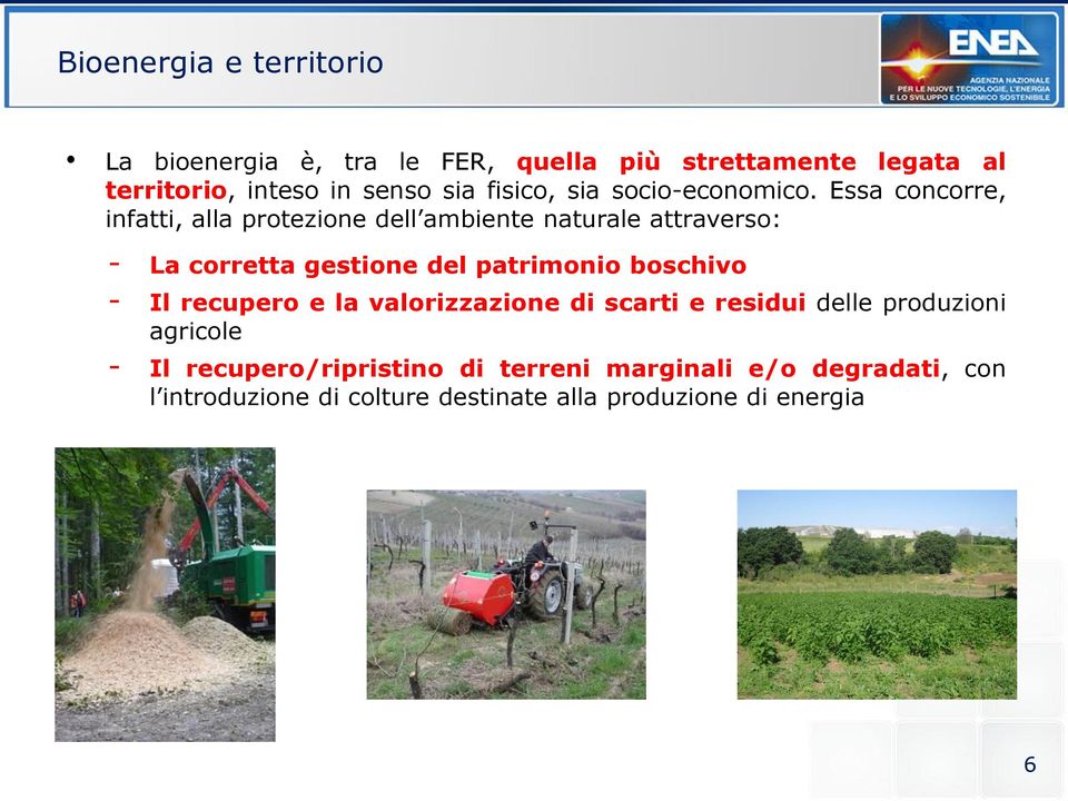 Essa concorre, infatti, alla protezione dell ambiente naturale attraverso: - La corretta gestione del patrimonio