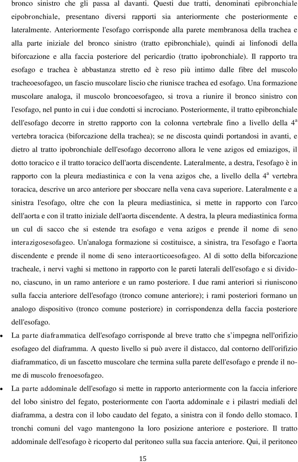 posteriore del pericardio (tratto ipobronchiale).