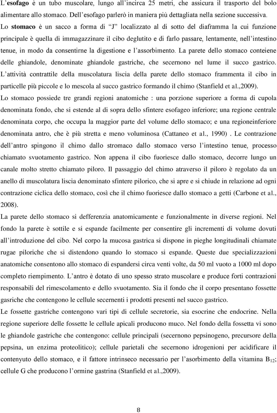 in modo da consentirne la digestione e l assorbimento. La parete dello stomaco conteiene delle ghiandole, denominate ghiandole gastriche, che secernono nel lume il succo gastrico.