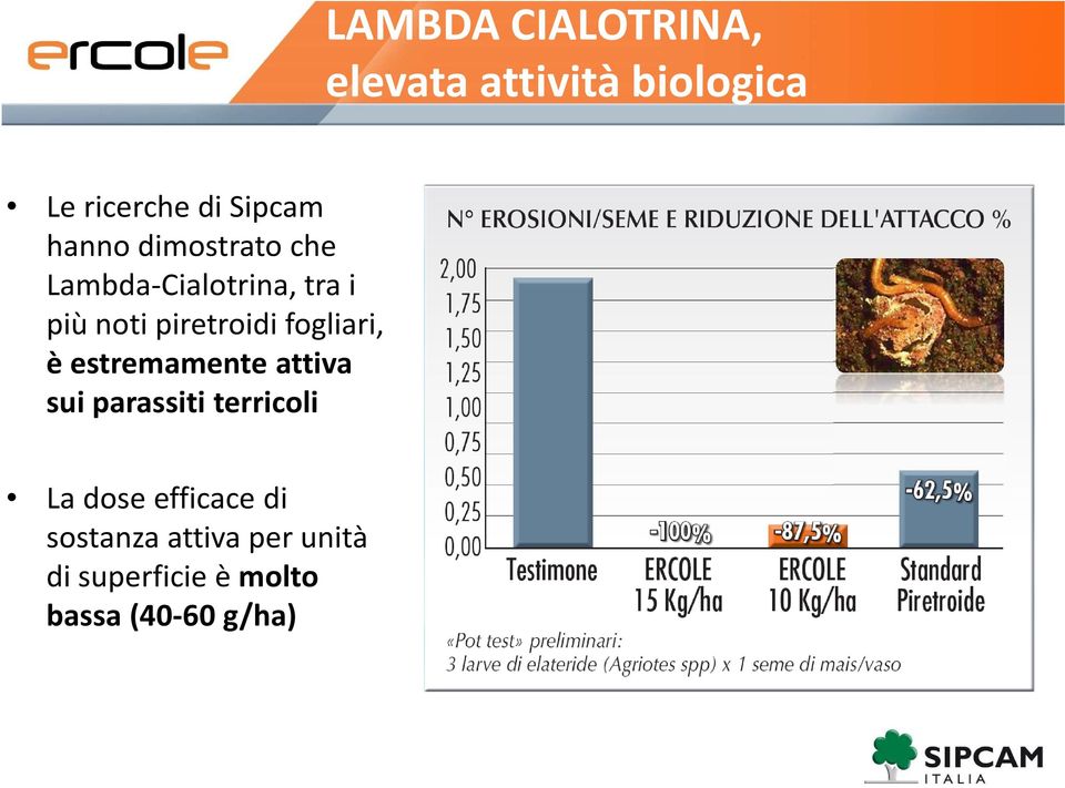 piretroidifogliari, è estremamente attiva sui parassiti terricoli La