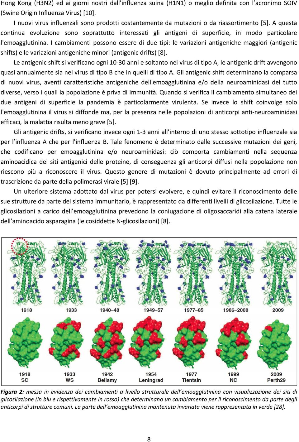 A questa continua evoluzione sono soprattutto interessati gli antigeni di superficie, in modo particolare l'emoagglutinina.