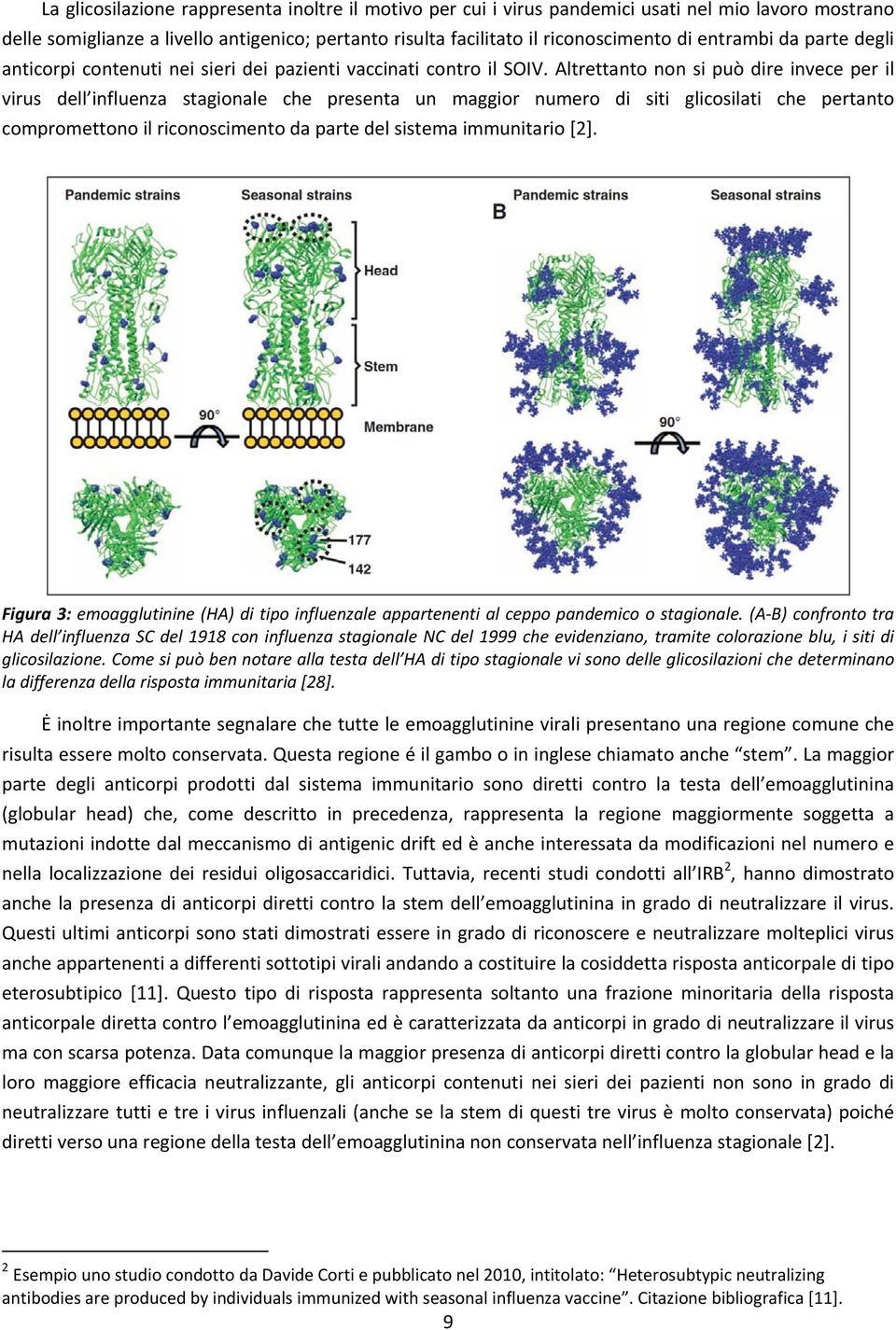 Altrettanto non si può dire invece per il virus dell influenza stagionale che presenta un maggior numero di siti glicosilati che pertanto compromettono il riconoscimento da parte del sistema