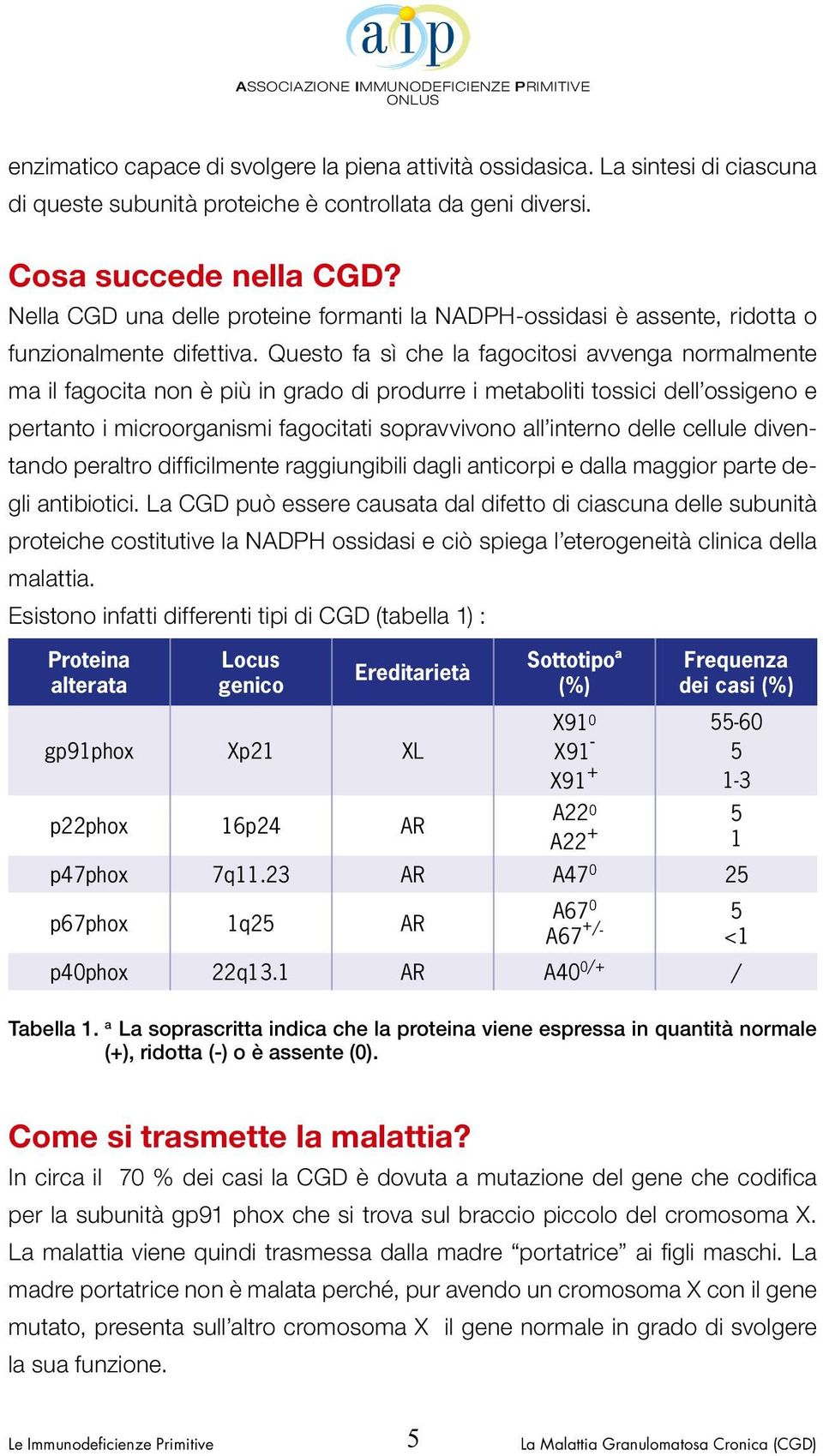 Questo fa sì che la fagocitosi avvenga normalmente ma il fagocita non è più in grado di produrre i metaboliti tossici dell ossigeno e pertanto i microorganismi fagocitati sopravvivono all interno