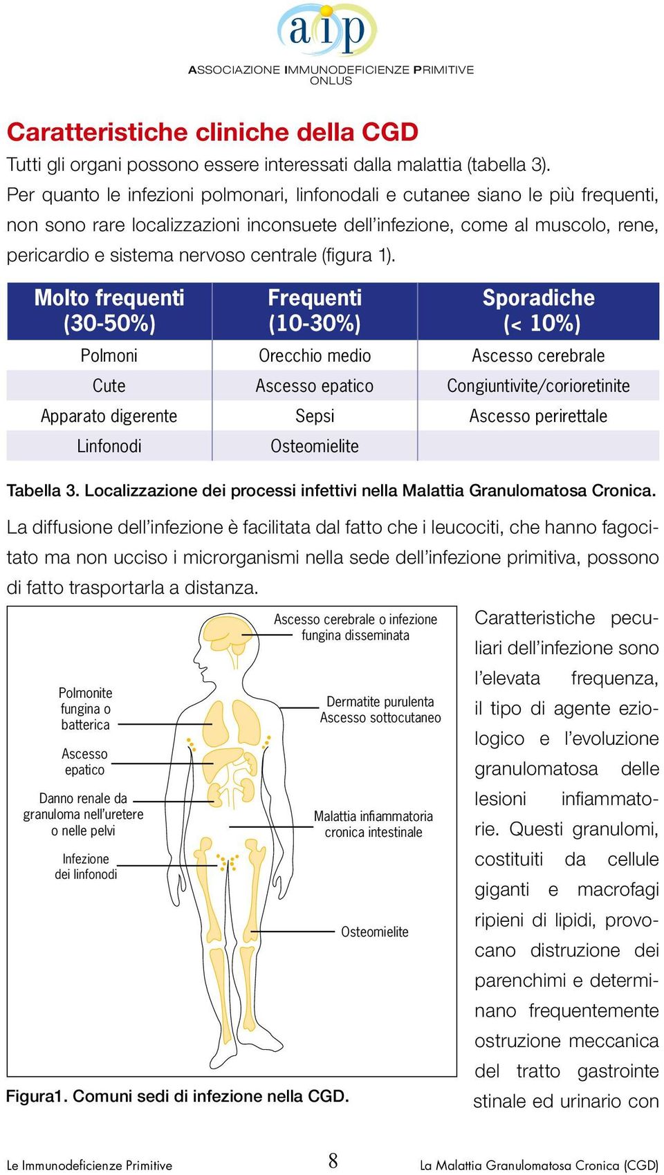 (figura 1).